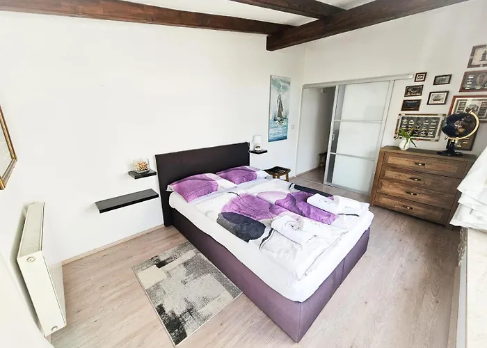 Molnar Ljiljana * Brzac