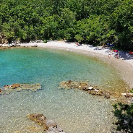 Molnar Ljiljana *