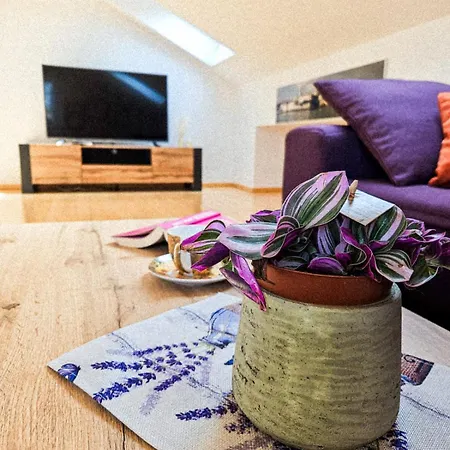 Molnar Mimoza&apartment Nea