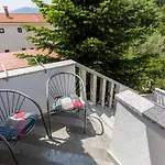 Molnar Ljiljana Brzac