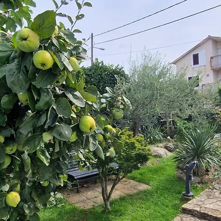 Molnar Ljiljana